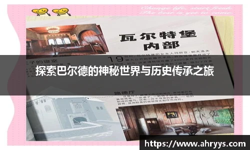 中欧体育