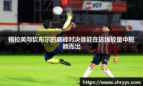 中欧体育