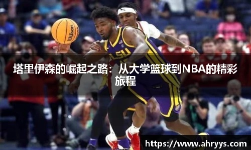 中欧体育