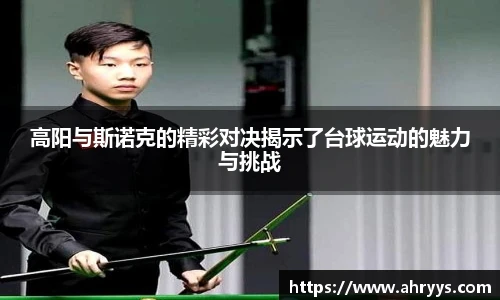 中欧体育网址